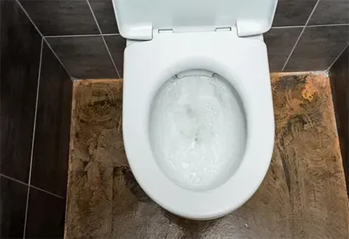 Desentupimento de Vaso Sanitário na Vila Ré